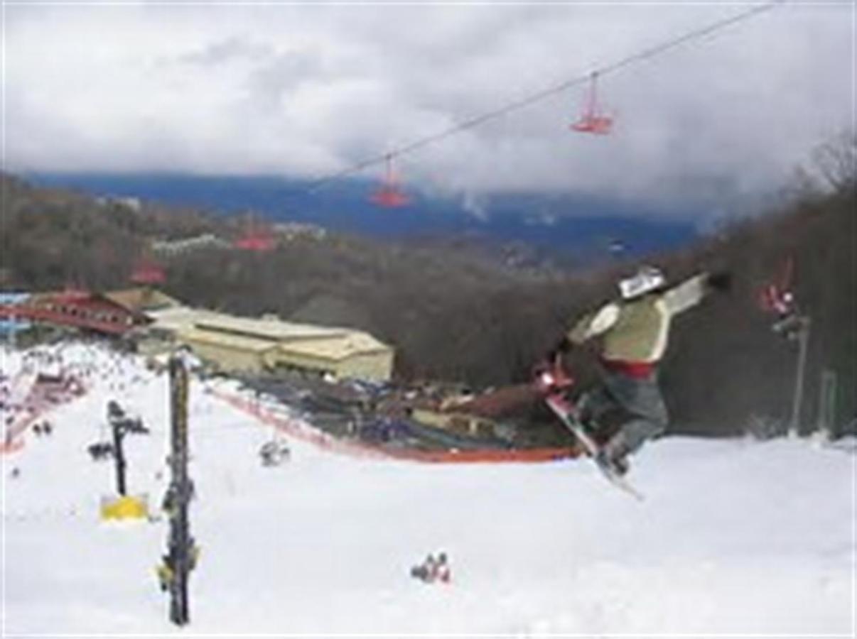 Mountain Springs Chalet Гетлинбург Екстериор снимка