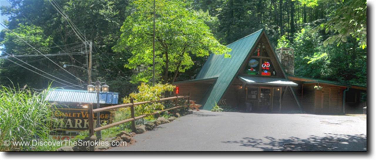 Mountain Springs Chalet Гетлинбург Екстериор снимка