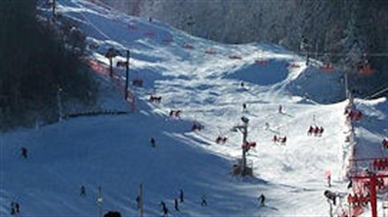 Mountain Springs Chalet Гетлинбург Екстериор снимка