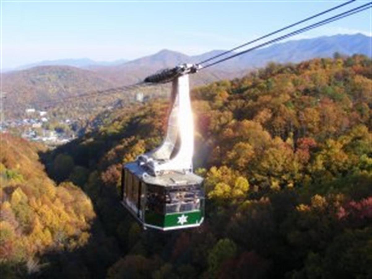 Mountain Springs Chalet Гетлинбург Екстериор снимка