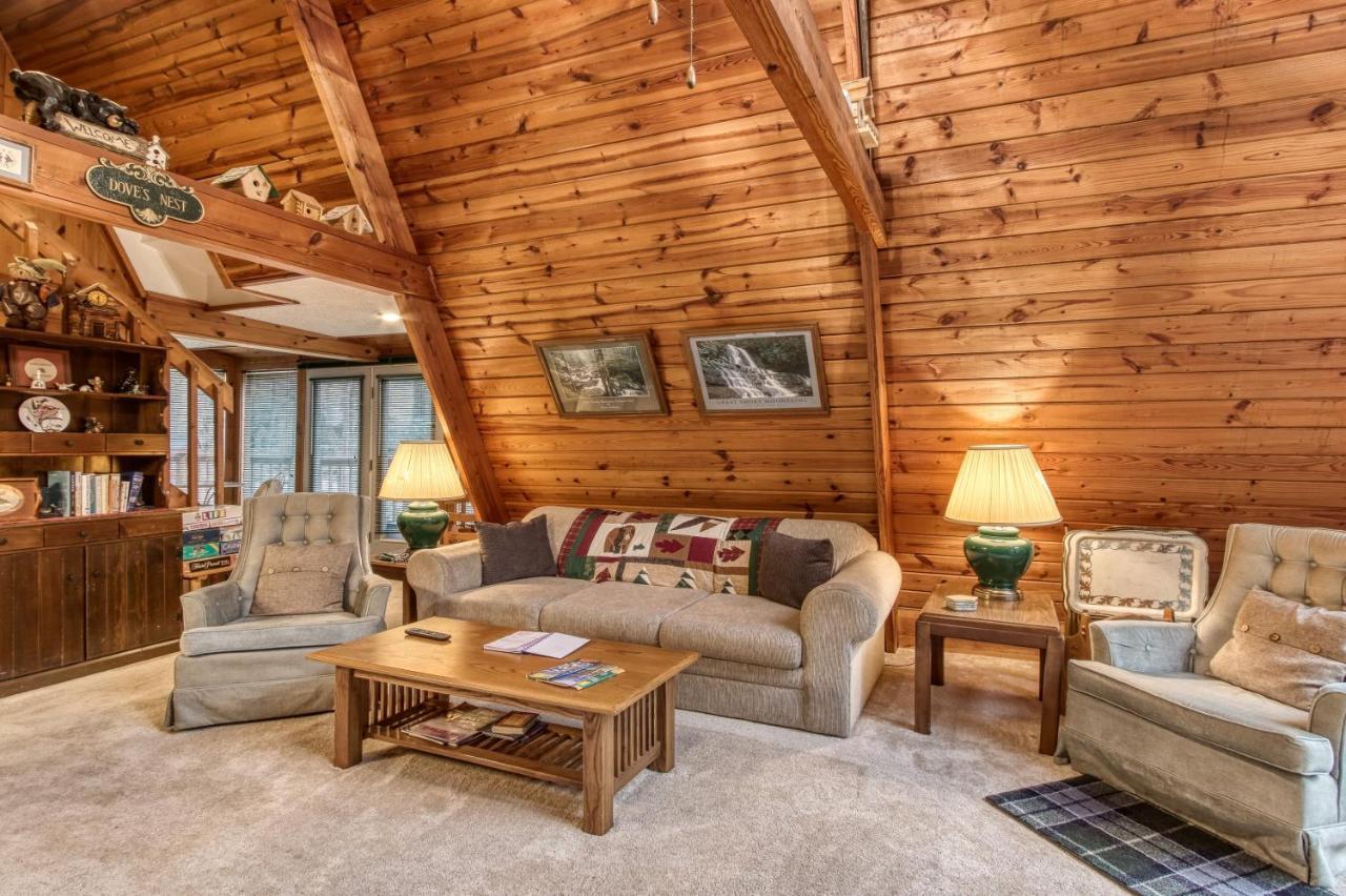 Mountain Springs Chalet Гетлинбург Екстериор снимка