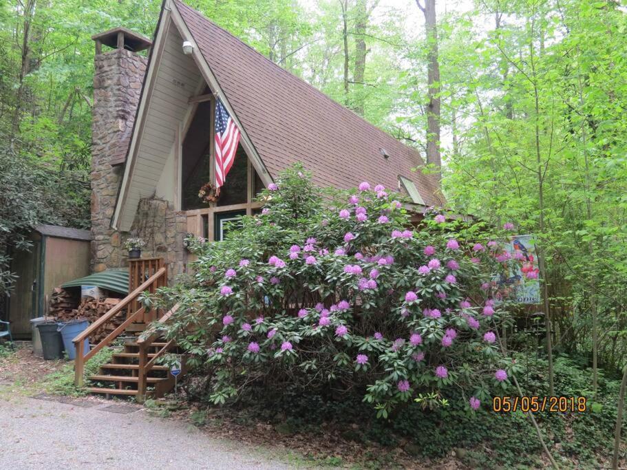 Mountain Springs Chalet Гетлинбург Екстериор снимка